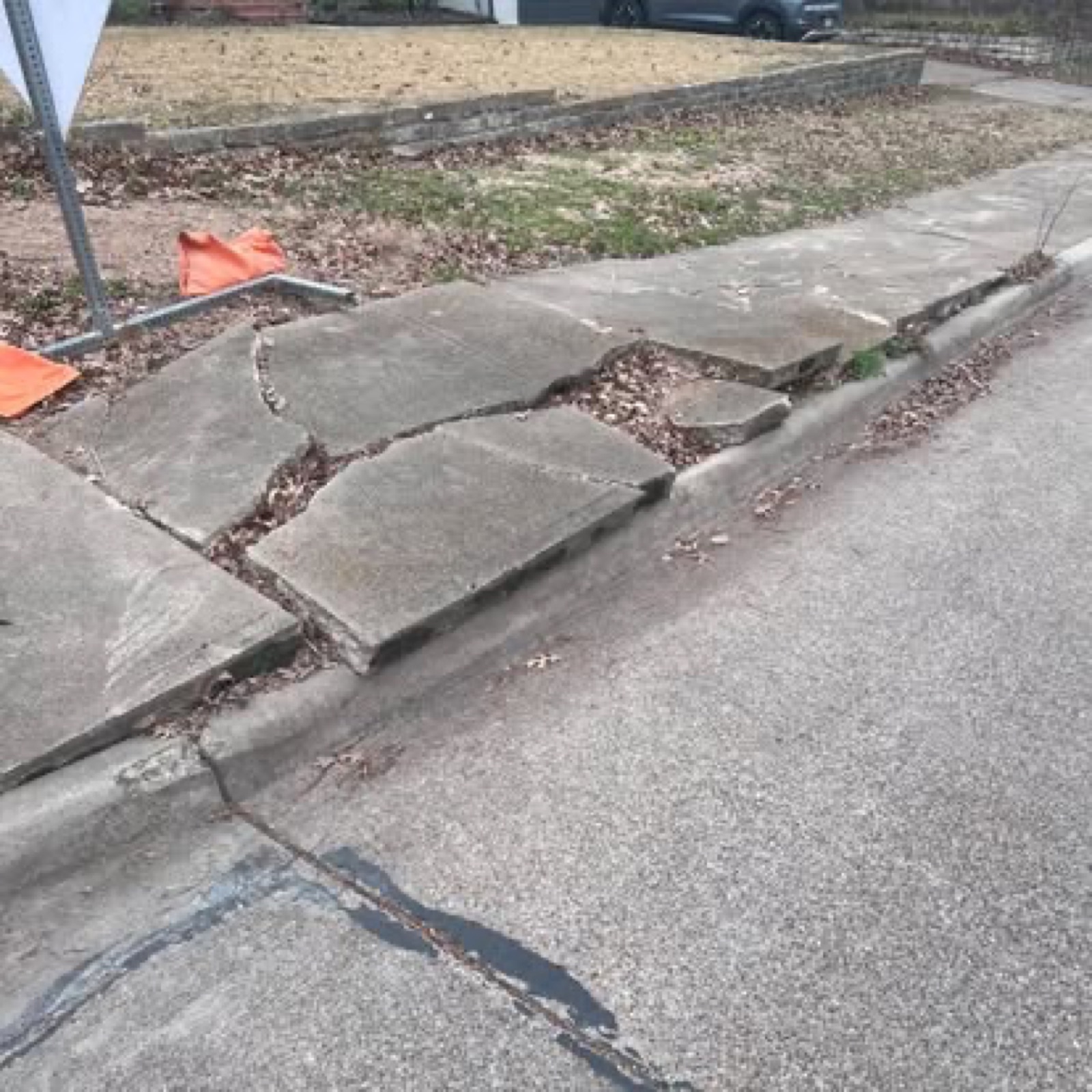 Sidewalks & Curbs